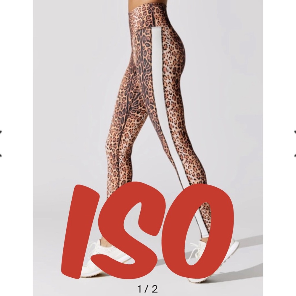 ISO In search of - Beach Riot Kat Leggings!